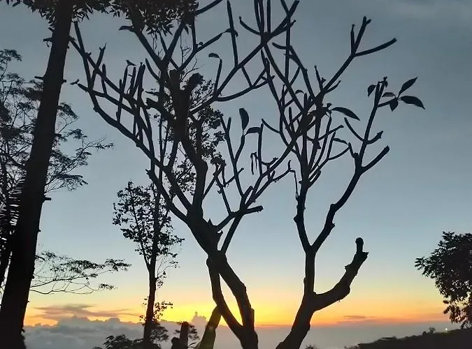 Privatunterkunft Retreat - Pekak Lelut *