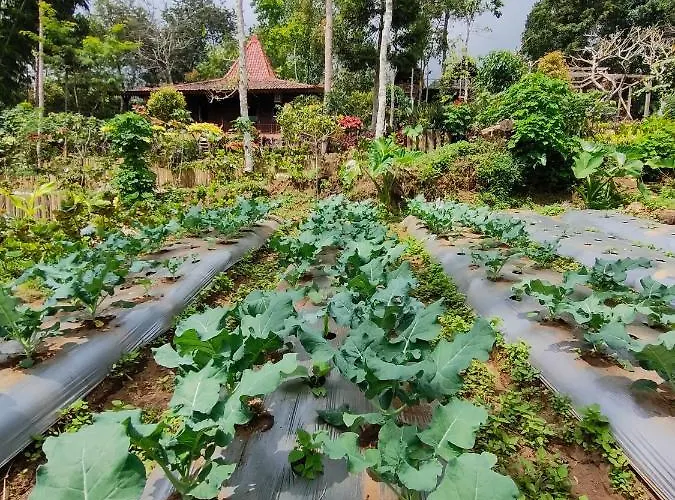 Retreat - Pekak Lelut Privatunterkunft *
