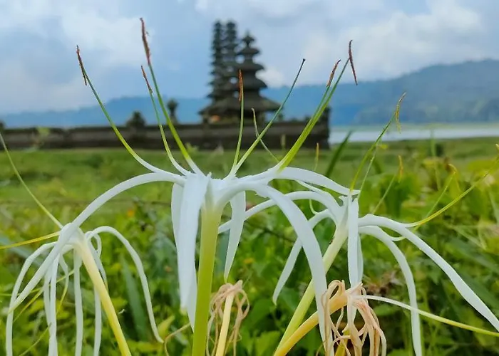 Retreat - Pekak Lelut Privatunterkunft *