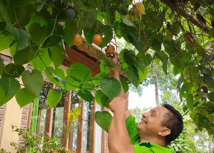 Retreat - Pekak Lelut Privatunterkunft Munduk