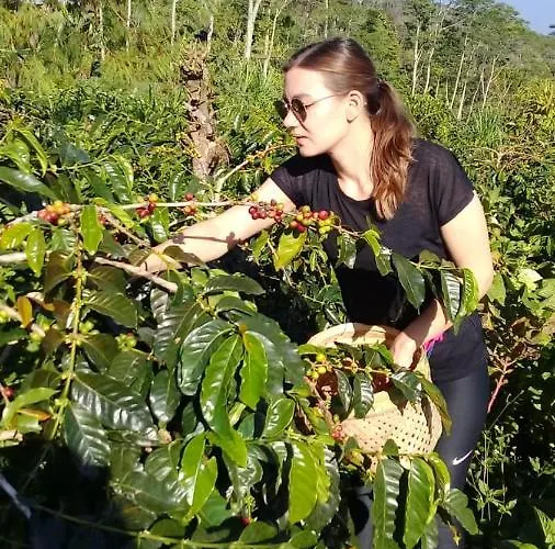 Privatunterkunft Retreat - Pekak Lelut Munduk